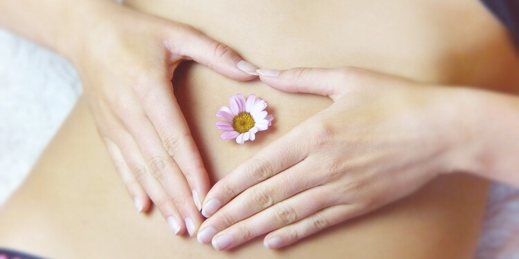 Ovitrelle and Ovidrelle: what are they and what are they used for in assisted reproduction?