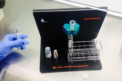 What is MACS and how does it help with assisted reproduction?