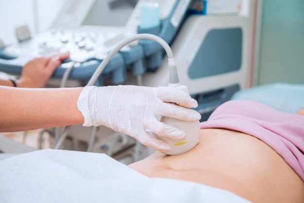 Follicle development in ovarian stimulation: what you need to know