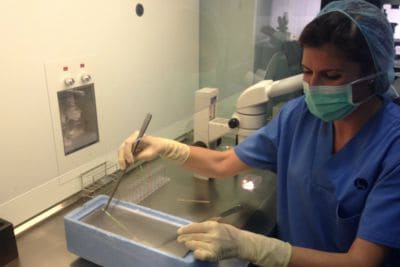 When to freeze embryos after an in vitro fertilisation (IVF) cycle