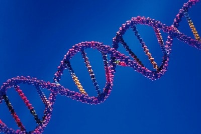 What is a genetic compatibility test and why do we use it in assisted reproduction?