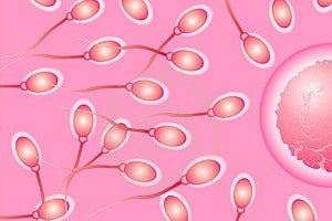 Declining male fertility: are antioxidant treatments effective?