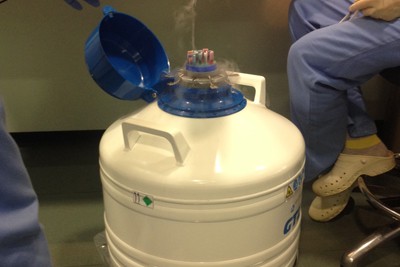 Oocyte freezing: an effective and safe procedure for assisted reproduction