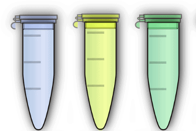 Semen analysis, semen capacitation, and semen culture in assisted reproduction: what are they and what are they used for?