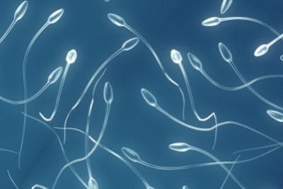 The importance of the seminal factor in fertility treatments