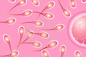 Sperm freezing step by step: how we preserve male fertility