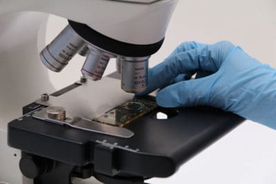 Fertile Chip and PICSI: What are these assisted reproduction techniques?