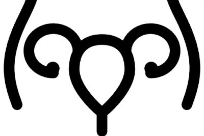 Ovarian factor and female fertility: main problems encountered in assisted reproduction